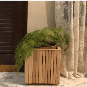 planter