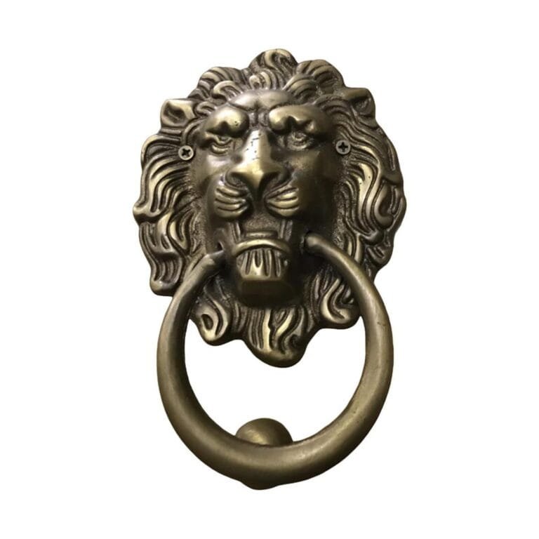 door knocker lion
